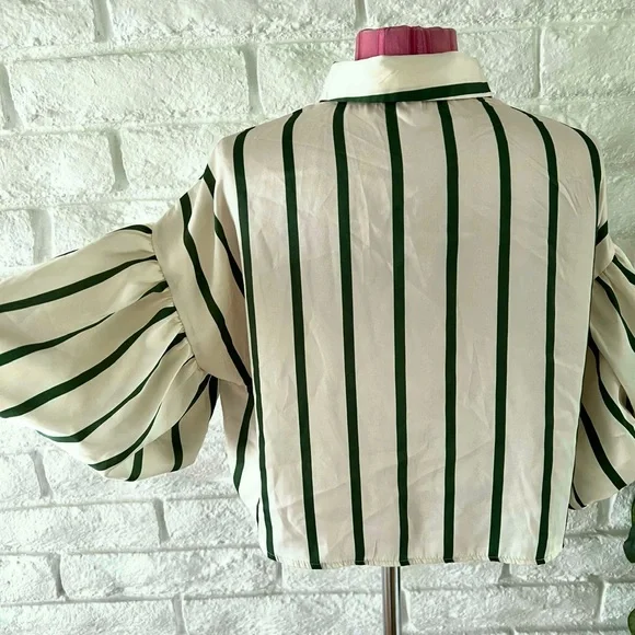 Elegant Milk & Honey Striped Button Down Blouse Puffy Sleeves - Picture 9 of 9